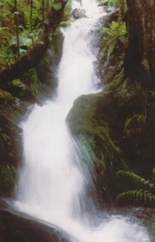 Fontaninas Носеда-дель-Бьерсо